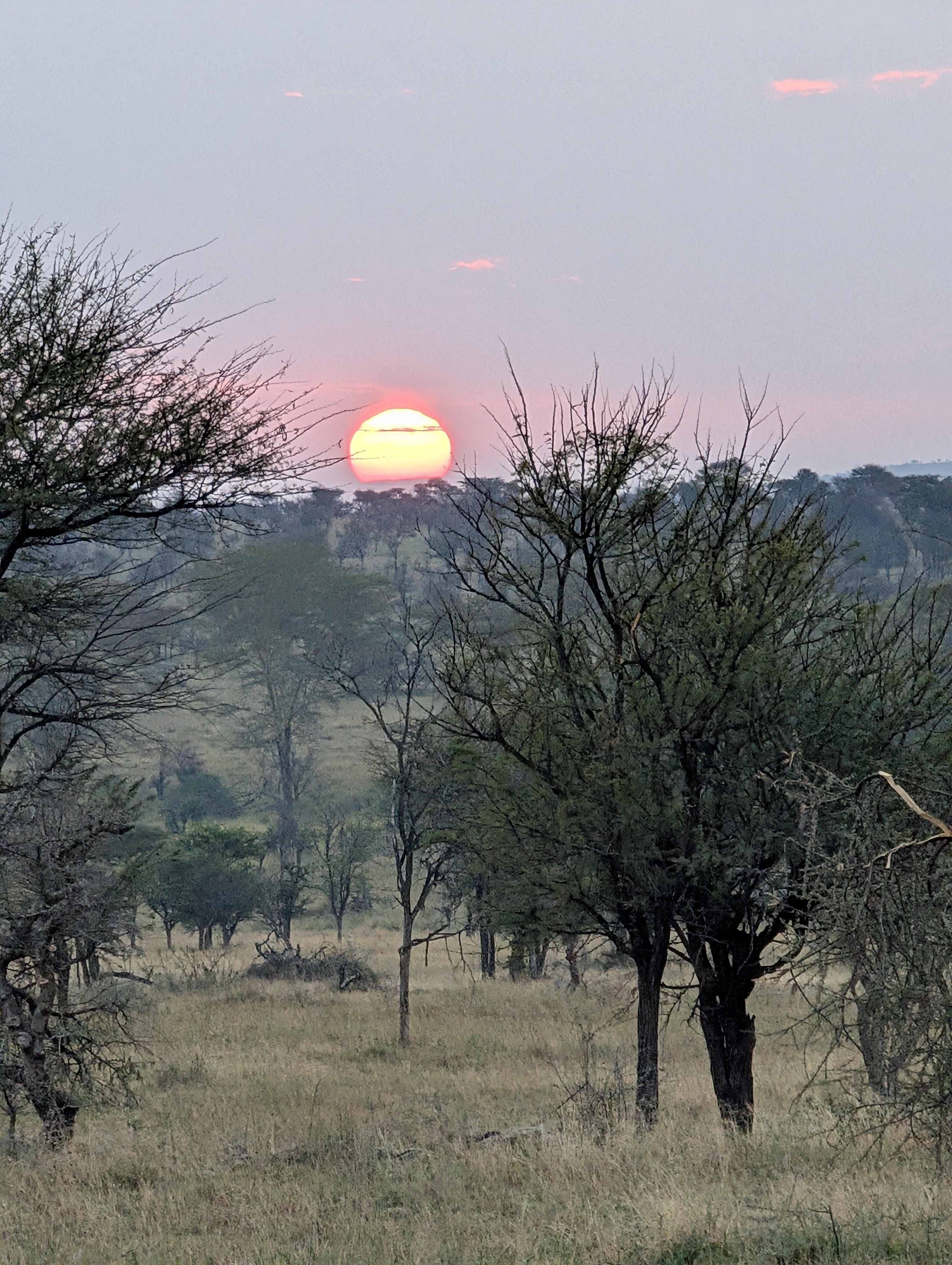 Sunrise - Afbeelding 7